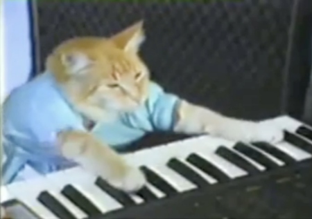 Does Keyboard Cat translate?